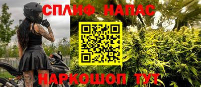 шишки Изобильный