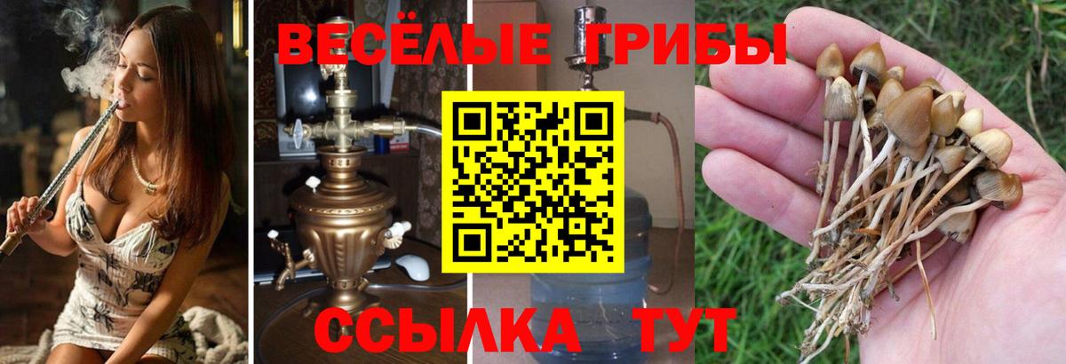 Лесозаводск  Галлюциногенные грибы Cubensis  Псилоцибиновые грибы ЛСД  Вход с VPN 